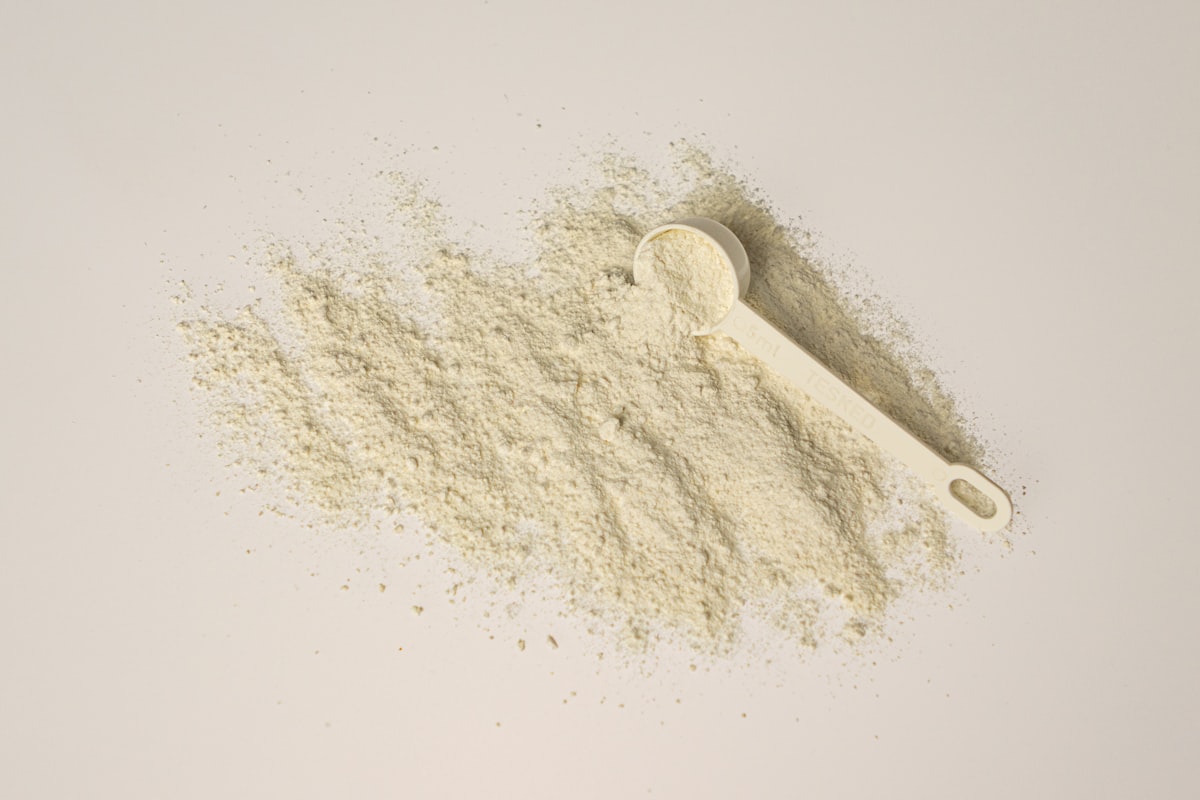 Casein protein powder