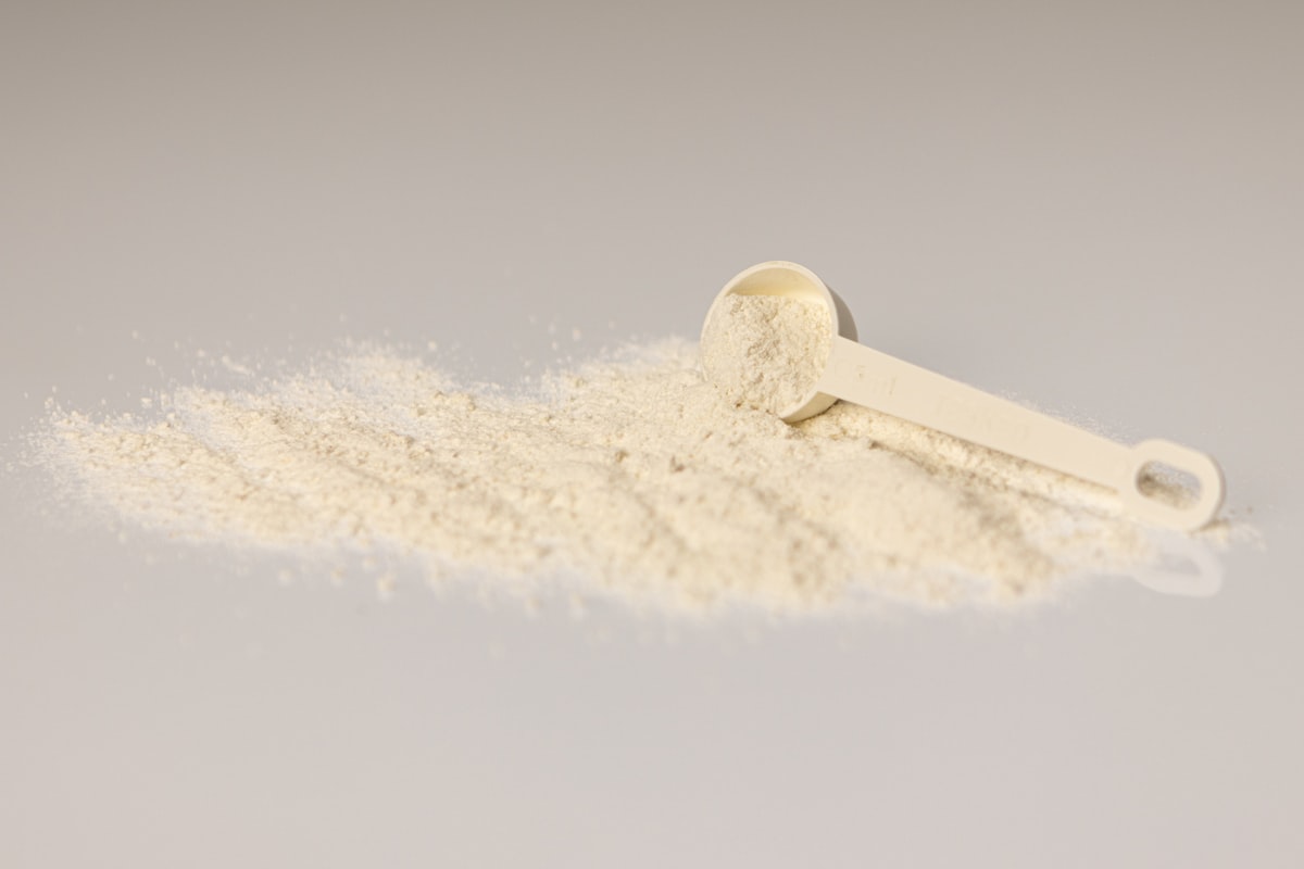 Plant-based protein powder